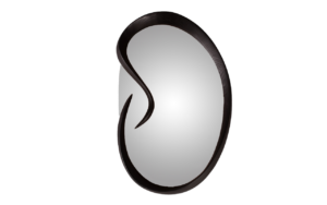 Swan-mirror
